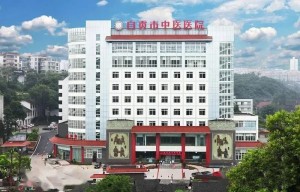 Wolong Lake Health Care Center, Zigong Traditional Chinese Medicine Hospital